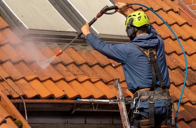Démoussage et hydrofuge de toiture à Pargny